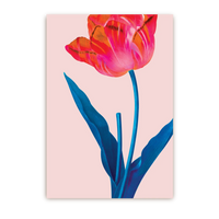 Pink Tulip | Postcard